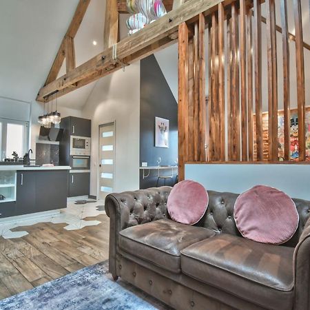 * Le Loft Des Mysteres * Daire Maintenon Dış mekan fotoğraf