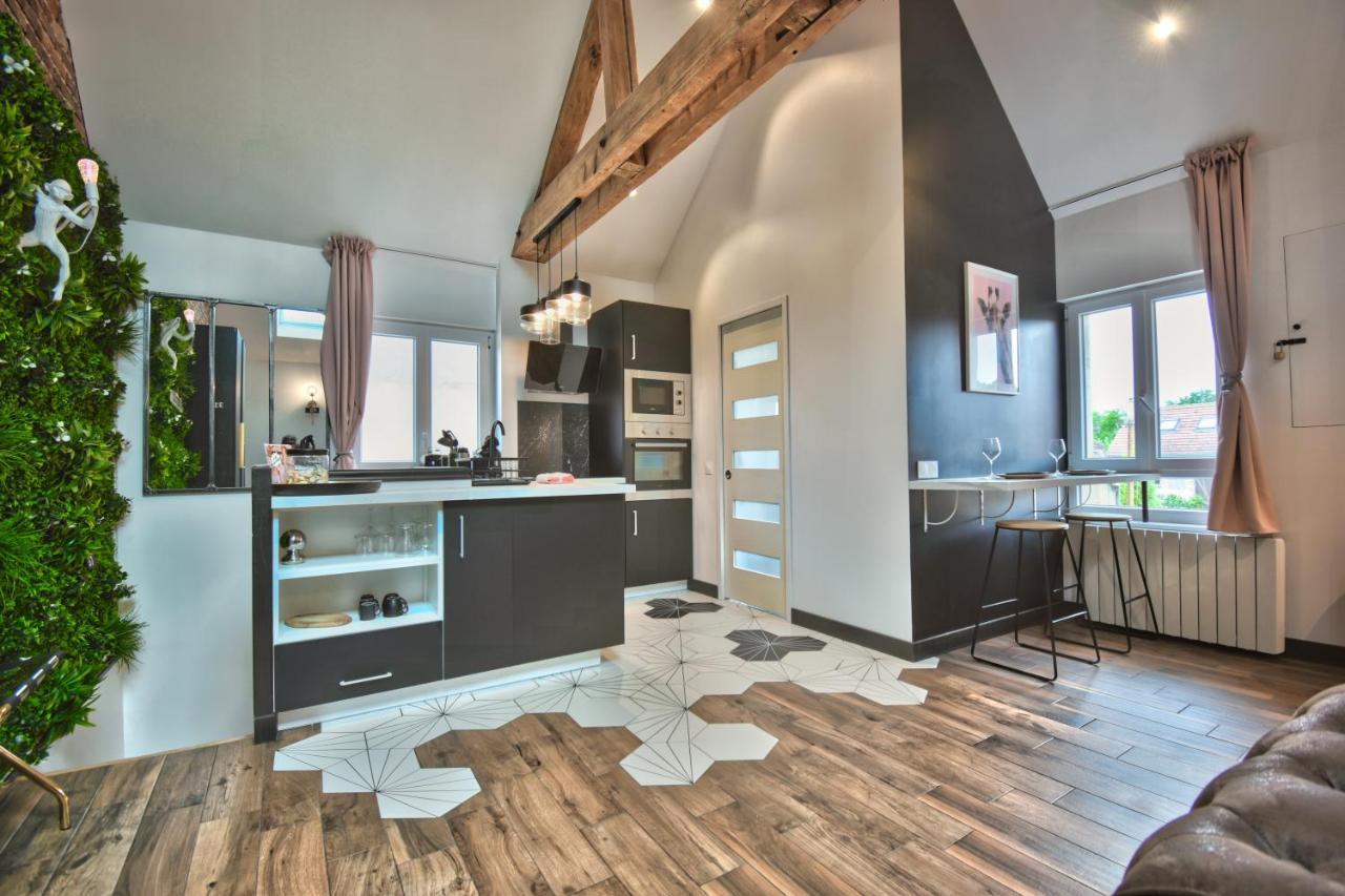 * Le Loft Des Mysteres * Daire Maintenon Dış mekan fotoğraf